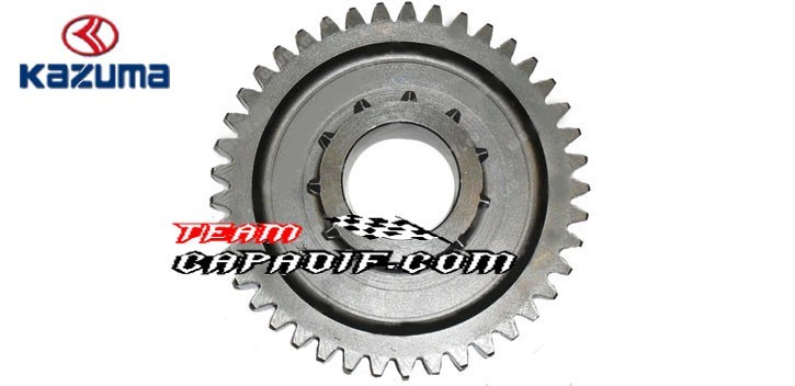 REVERSE GEAR-LOW RATE KAZUMA