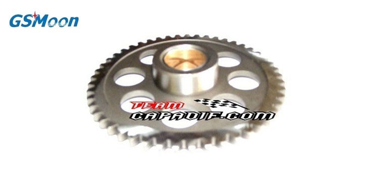 KUPPLUNG GEAR GSMOON
