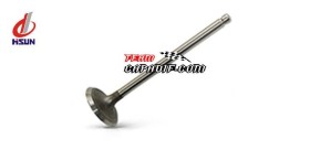 HiSun Einlassventil 400-450-500