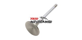  intake valve XYKD150-3 GSMOON