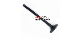 Einlassventil HISUN 700