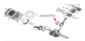 Plain bearing Odes 800cc