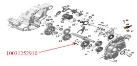 BEARING-NEEDLE  10031252910