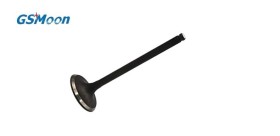 Set inlet valve GSMOON