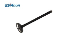 Auslassventil GSMOON