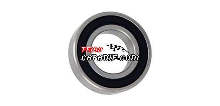 BEARING 6005RS