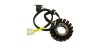 Bobine magnéto stator GSMOON XY260ST-XYKD260-1 -XYKD260-2